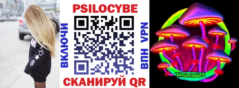 Купить закладки  Судогда  Псилоцибиновые грибы GOLDEN TEACHER